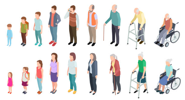 Different generations. Isometric people adult female male characters kids girl boy old man woman human age evolution stages vector set Different generations. Isometric people adult female male characters kids girl boy old man woman human age evolution stages vector set. Illustration of human process aging aging process illustrations stock illustrations
