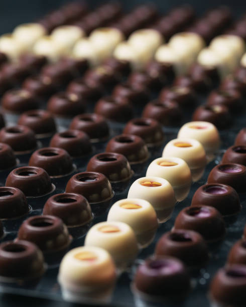 Rows of homemade dark and white chocolate truffle shells with different fillings. Selective focus stock photo