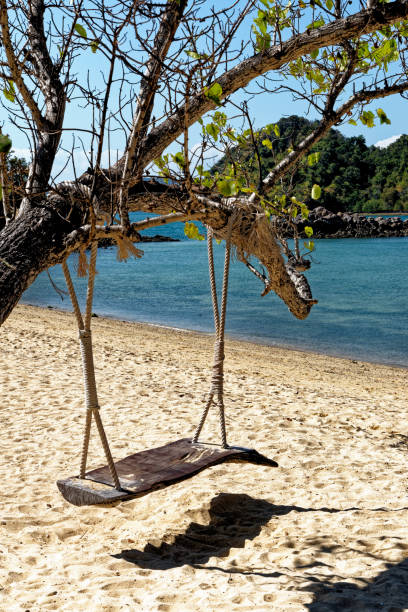 istock Wooden swing hang under tree at the beach 1287572597