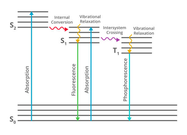 Jablonski diagram, molecular spectroscopy. Electronic states of a molecule and the transitions. Vector spectroscopy illustration of the Jablonski diagram showing the possible radiative and non-radiative transitions of a molecule to a higher electronic state. Absorption, Fluorescence, and Phosphorescence diagram is isolated on a white background photon stock illustrations