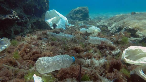 pollution plastique massive du fond de l’océan. fonds marins recouverts de beaucoup d’ordures en plastique. bouteilles, sacs et autres débris plastiques sur les fonds marins de la mer méditerranée. pollution plastique de l’océan - plastique photos et images de collection