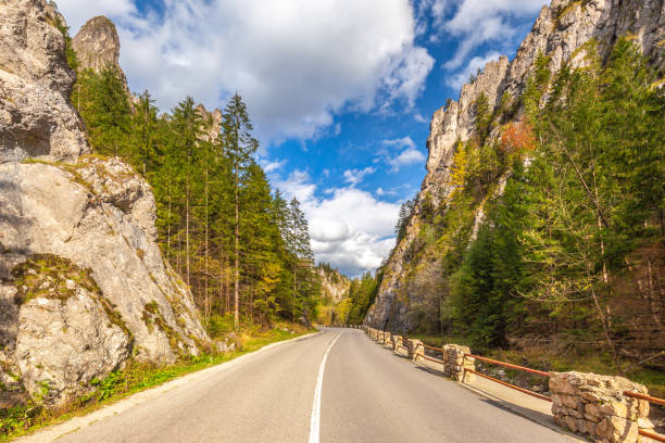 istock Road through a rocky gorge in a mountain valley at autumn. 1287574773