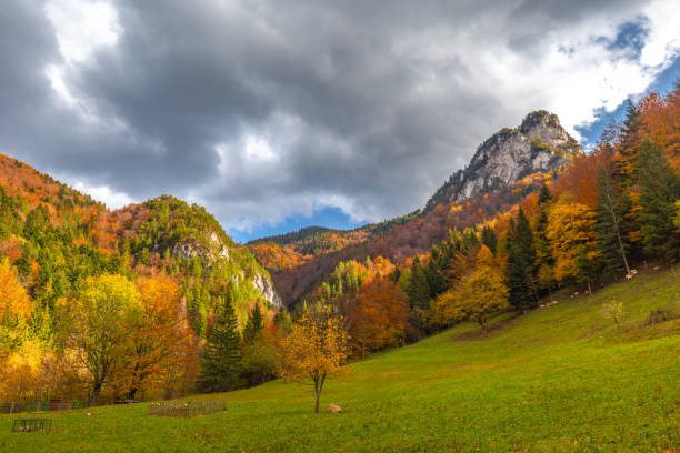 istock Mountain valley landscape in autumn. 1287574776