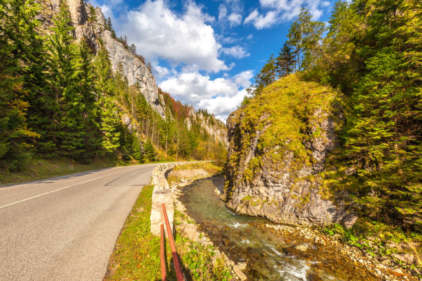 istock Road through a rocky gorge in a mountain valley at autumn. 1287574779