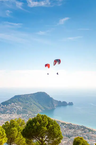 Photo of Tandem paragliding