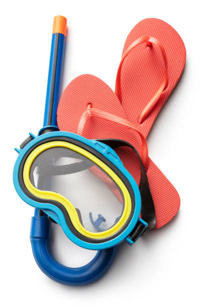 istock Summer: Flip-flops and Scuba Mask Isolated on White Background 1287577737