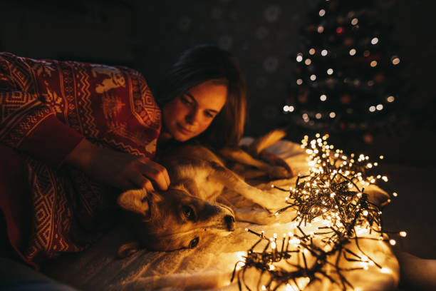 Close up of young woman next to the Christmas tree and hugs her dog on a New year's eve