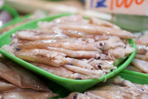 Squid is sold fresh at the Japanese fish market.