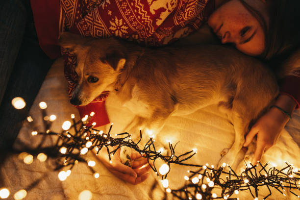 istock Celebrating Christmas with best friend 1287579121