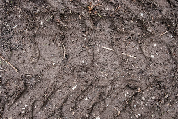 istock Tractor wheels' treads on dirt. 1287579995