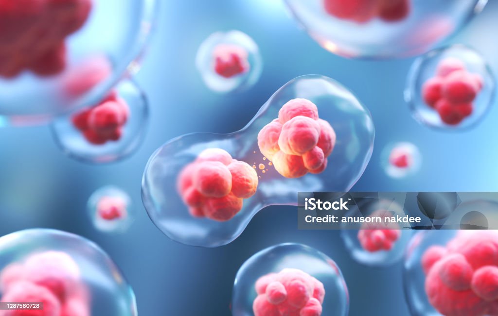 Human cell or Embryonic stem 3d rendering of Human cell or Embryonic stem cell microscope background. Dividing Stock Photo