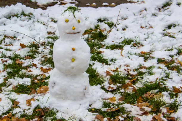 Snowman is standing in park with a green and yellow leaves fallen from the trees. Happy winter time came in november.
