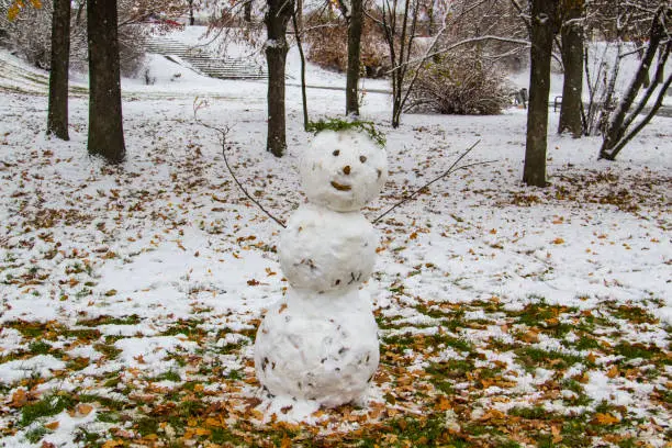 Snowman is standing in park with a green and yellow leaves fallen from the trees. Happy winter time came in november.