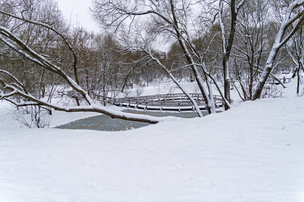 istock The recently frozen city pond. 1287581663