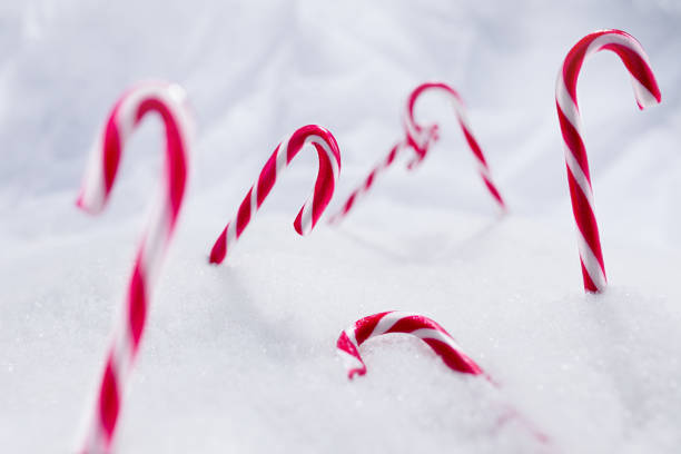 istock Red and white candy canes stick in snow, winter landscape concept 1287582492