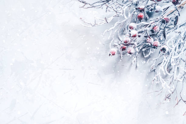 istock Christmas background of snow-covered branches with berries. 1287587913