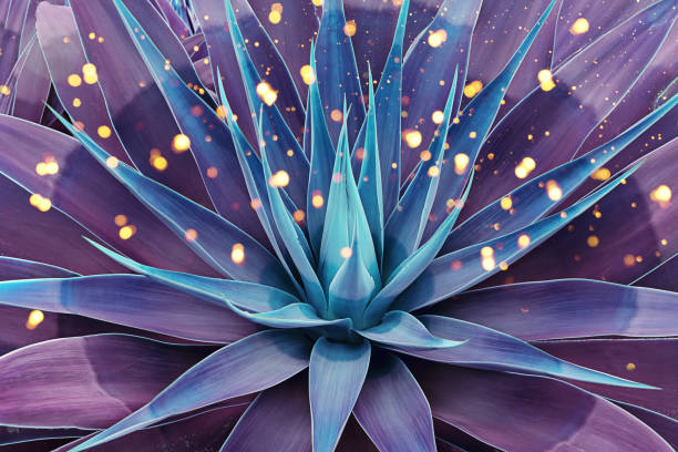 istock Toned floral pattern agave leaves plant succulent concept 1287589273