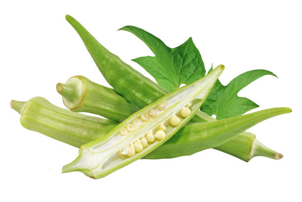 istock Fresh okra vegetable isolated on white background 1287591024