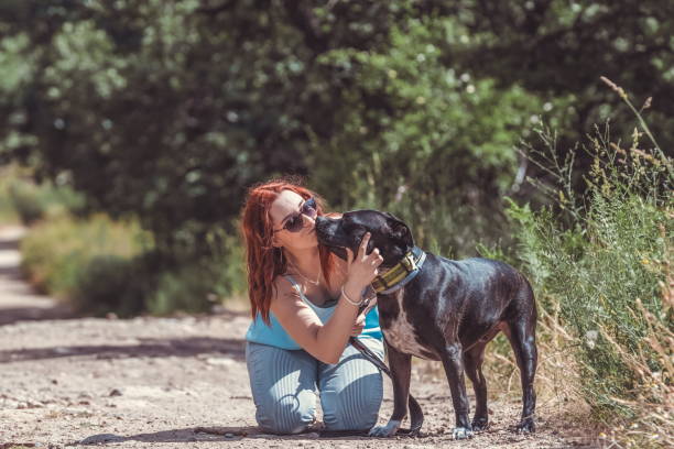 girl crouched petting a pitbull dog in nature - bear animal kissing forest imagens e fotografias de stock