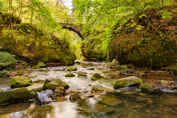 istock Stone bridge near Breidweiler 1287592282