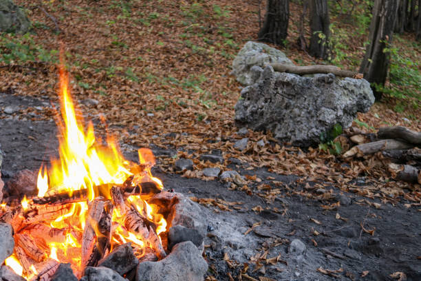 istock Bonfire in the forest with falling leaves with rocks 1287596228
