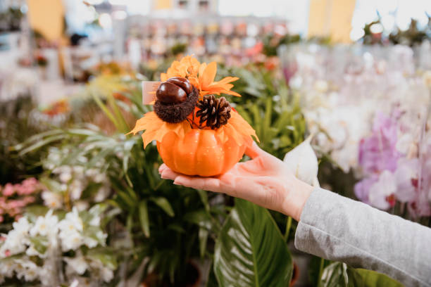 手作りのカボチャの装飾 - single flower flower autumn pumpkin ストックフォトと画像