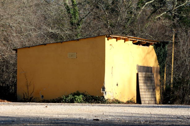 Small yellow abandoned storage area with dilapidated facade partially covered with crawling plants and broken entrance doors next to paved road surrounded with dense trees in background on cold sunny winter day