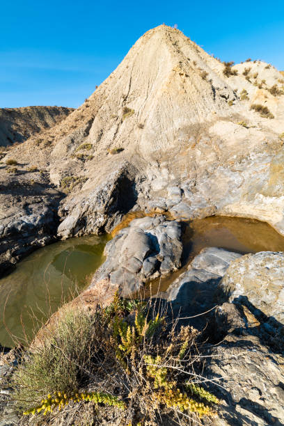 istock Tabernas desert in Almeria, Spain 1287598914