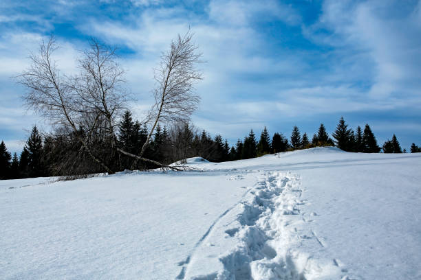istock footprint on a mountain winter glade 1287600029
