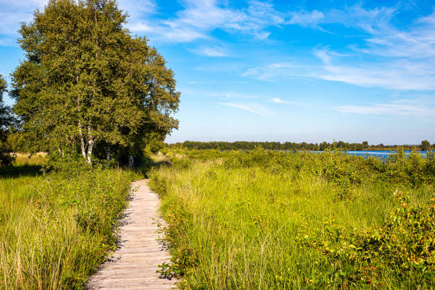 istock Eternal Sea near Aurich 1287601088