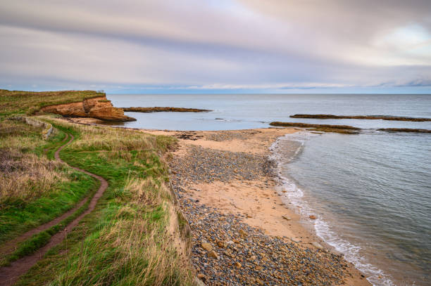 istock Northumberland Coast Path at Howick Haven 1287605969