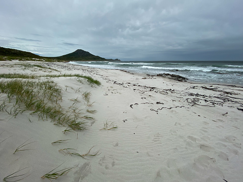Scenic view of Platboom beach, Cape of Good Hope nature reserve, Cape Town, South Africa against cloudy sky