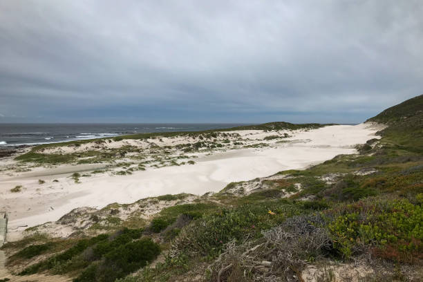 scenic view of platboom beach, cape of good hope nature reserve, cape town, south africa - south africa africa cape of good hope cape town imagens e fotografias de stock