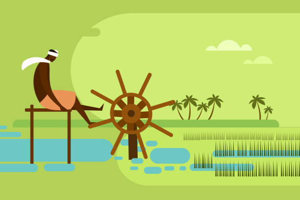 Indian farmer pumping water to paddy field using traditional water wheel Indian farmer pumping water to paddy field using traditional water wheel water wheel stock illustrations