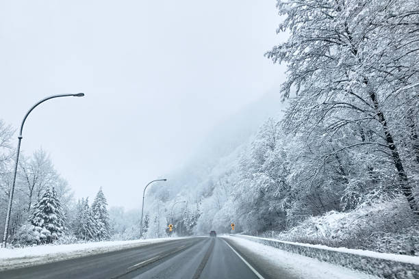 istock Coniferous snowy forest in the Rocky Mountains. 1287610014
