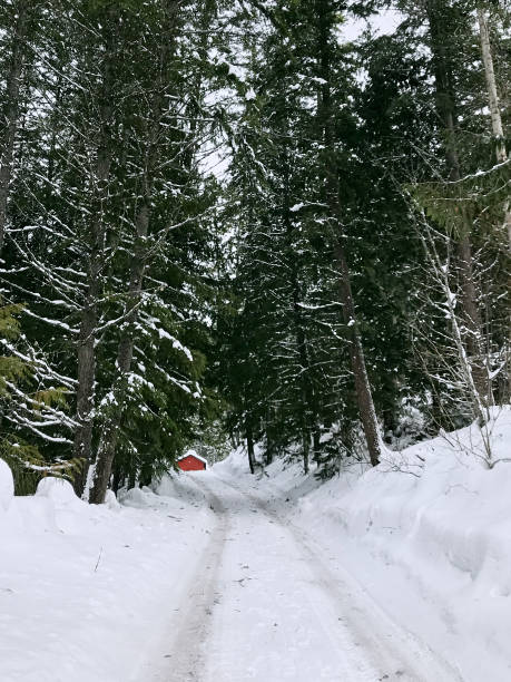 森林の雪道は赤い森の小屋につながります。降雪中の冬の雪の足跡の森 - white lake ストックフォトと画像