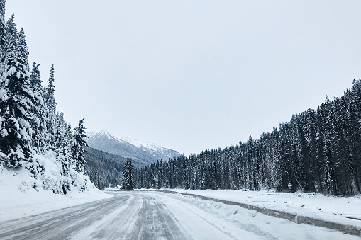 The road between tall spruce trees and mountain peaks in snowy weather. Natural winter background.  Вuffey lake road, British Columbia, Canada