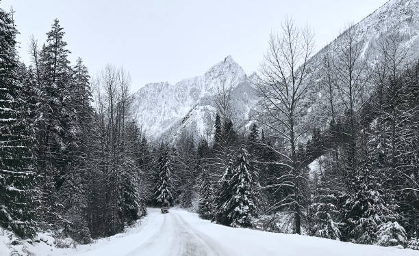 istock Coniferous snowy forest in the Rocky Mountains. 1287610310