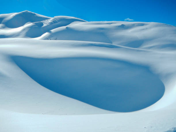 istock Snowy and frozen snow fields 1287613859