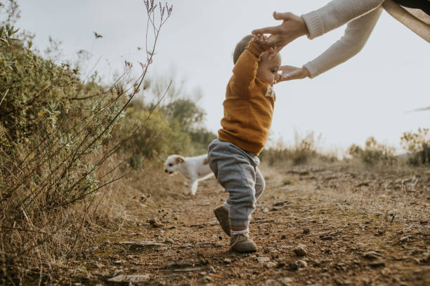 Toddler Walking Photo taken in Elvas, Portugal Hyperactivity in babies stock pictures, royalty-free photos & images