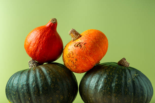 istock Stacked green and orange pumpkins, horizontal image 1287625299
