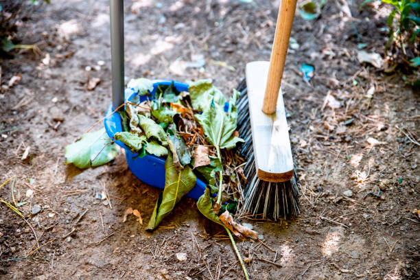 istock Cleaning leaves and trash in Garden 1287625936