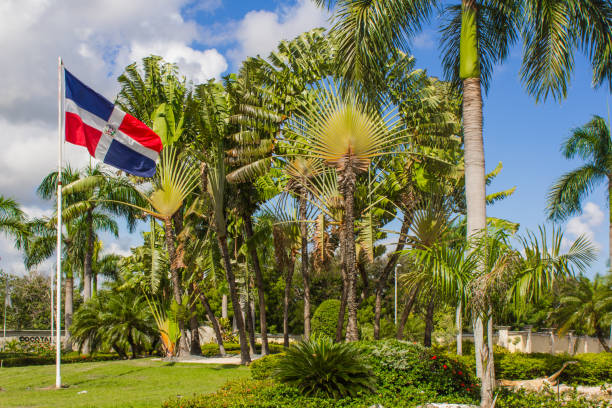 istock Palm trees and Dominicana Flag 1287627576