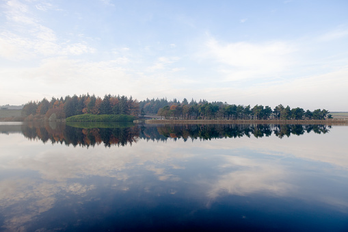 Reflection of wispy sky in shimmery rippled reservoir water. Autumn forest along the mid line consists of coniferous trees and is also reflected