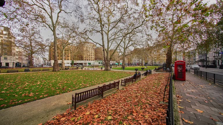 A time lapse in Berkeley Square, London, Mayfair