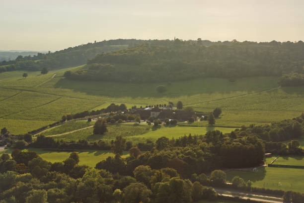 Countryside in Surrey, England