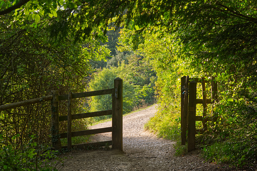 Path and gate in North Downs countryside, Box Hill, Dorking, Surrey, England