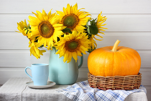 bouquet of yellow sunflowers on the table on a white background. summer or autumn composition with garden flowers and pumpkin in a rustic interior.