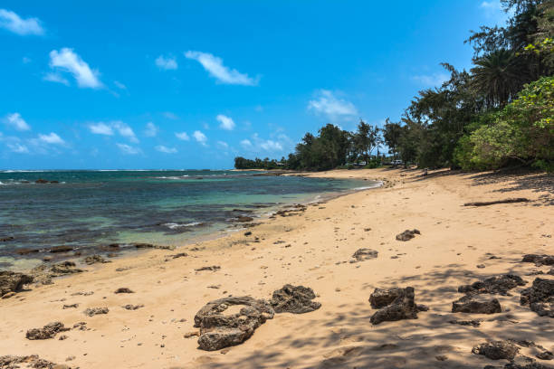 istock Sand beach along Kawela Beach, Oahu, Hawaii 1287634141