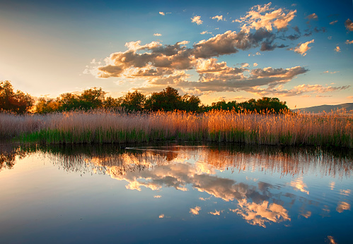 Reflection of clouds in the waters of the Tablas de Daimiel National Park at sunset